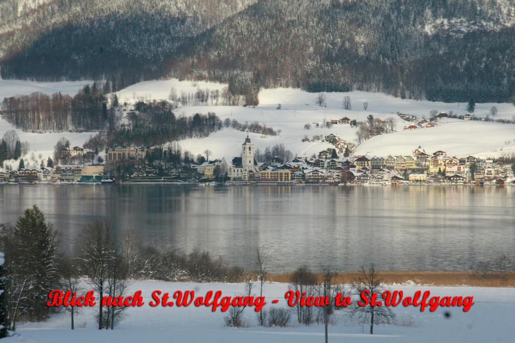 فندق بنسيون فولفغانغسي Saint Wolfgang المظهر الخارجي الصورة